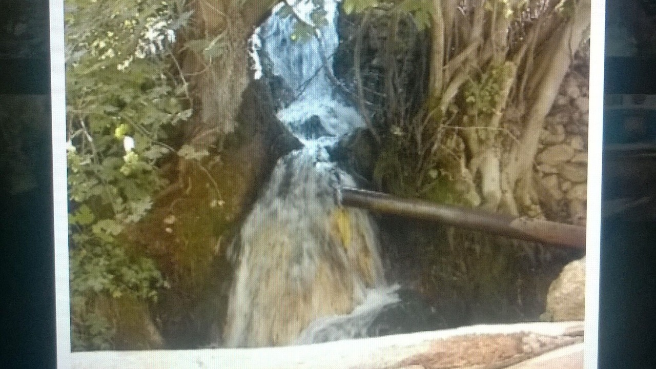 Photo of Others in Castril