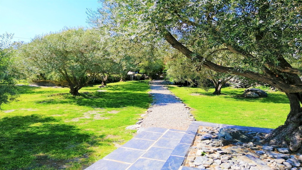 Photo of Outdoor in Orgiva