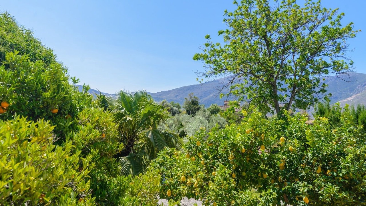 Photo of Outdoor in Orgiva