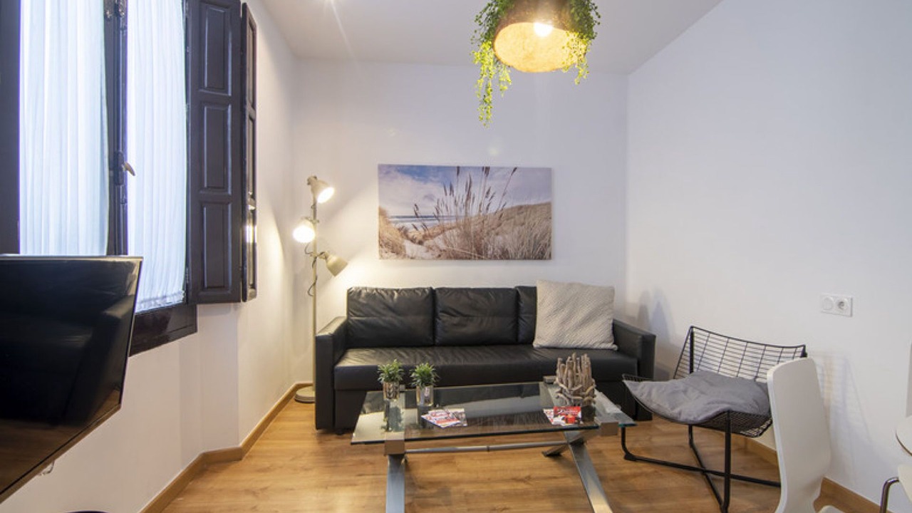 Photo of Livingroom in Granada City Center