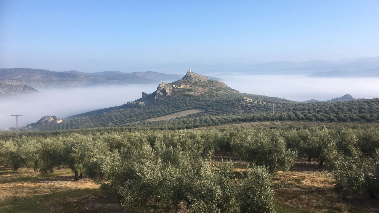 Photo of Outdoor in Moclin