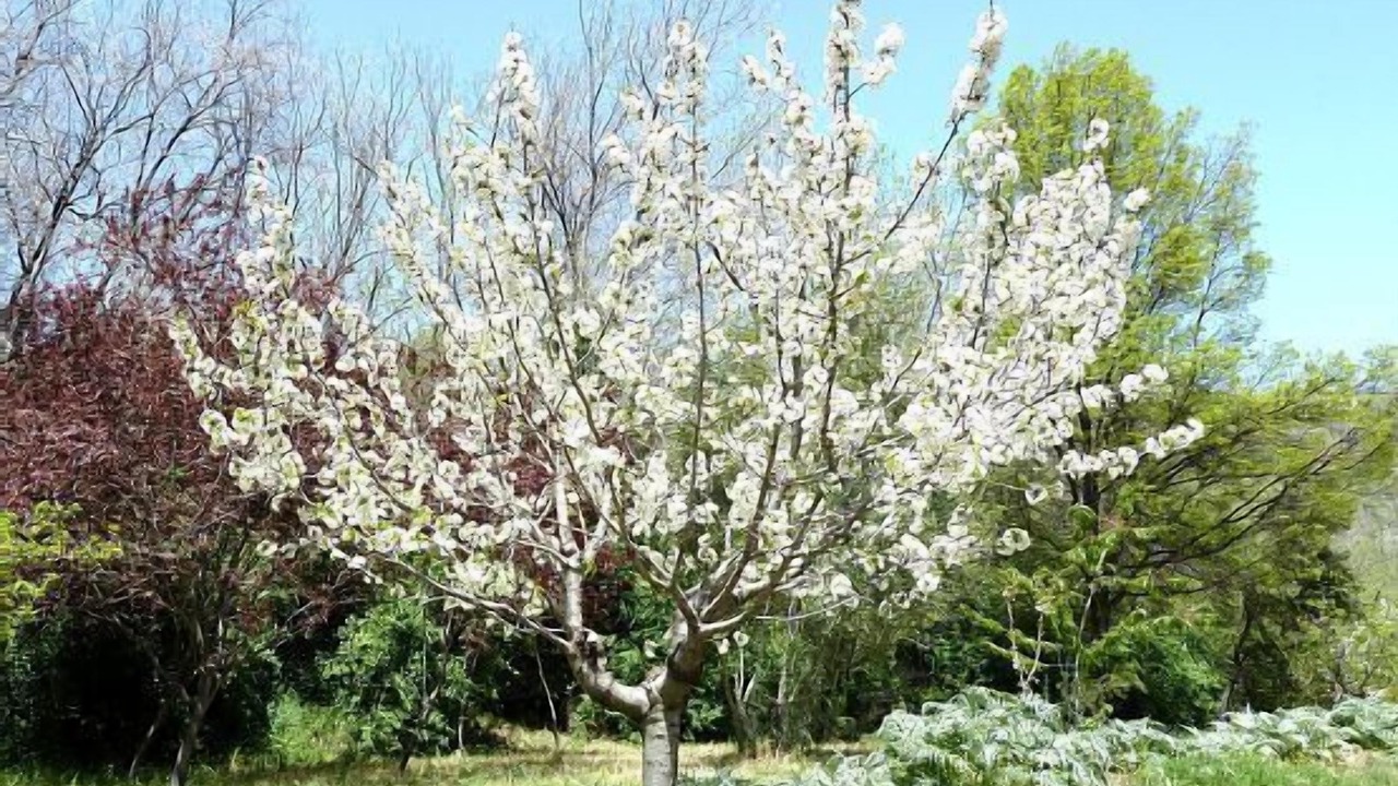 Photo of Outdoor in Mecina Fondales