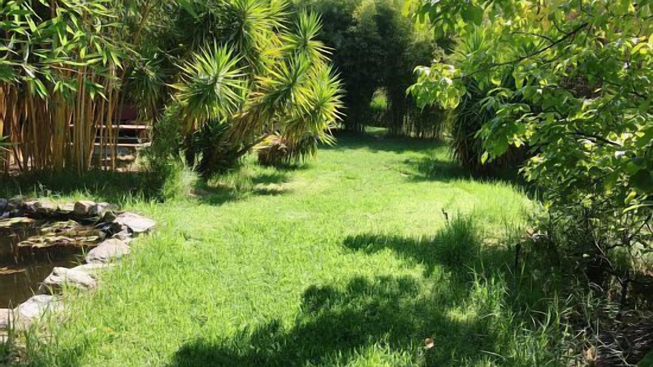 Photo of Outdoor in Mecina Fondales