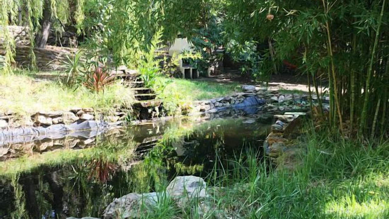 Photo of Outdoor in Mecina Fondales