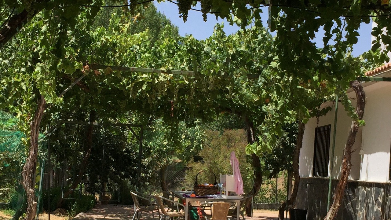 Photo of Outdoor in Alhama de Granada