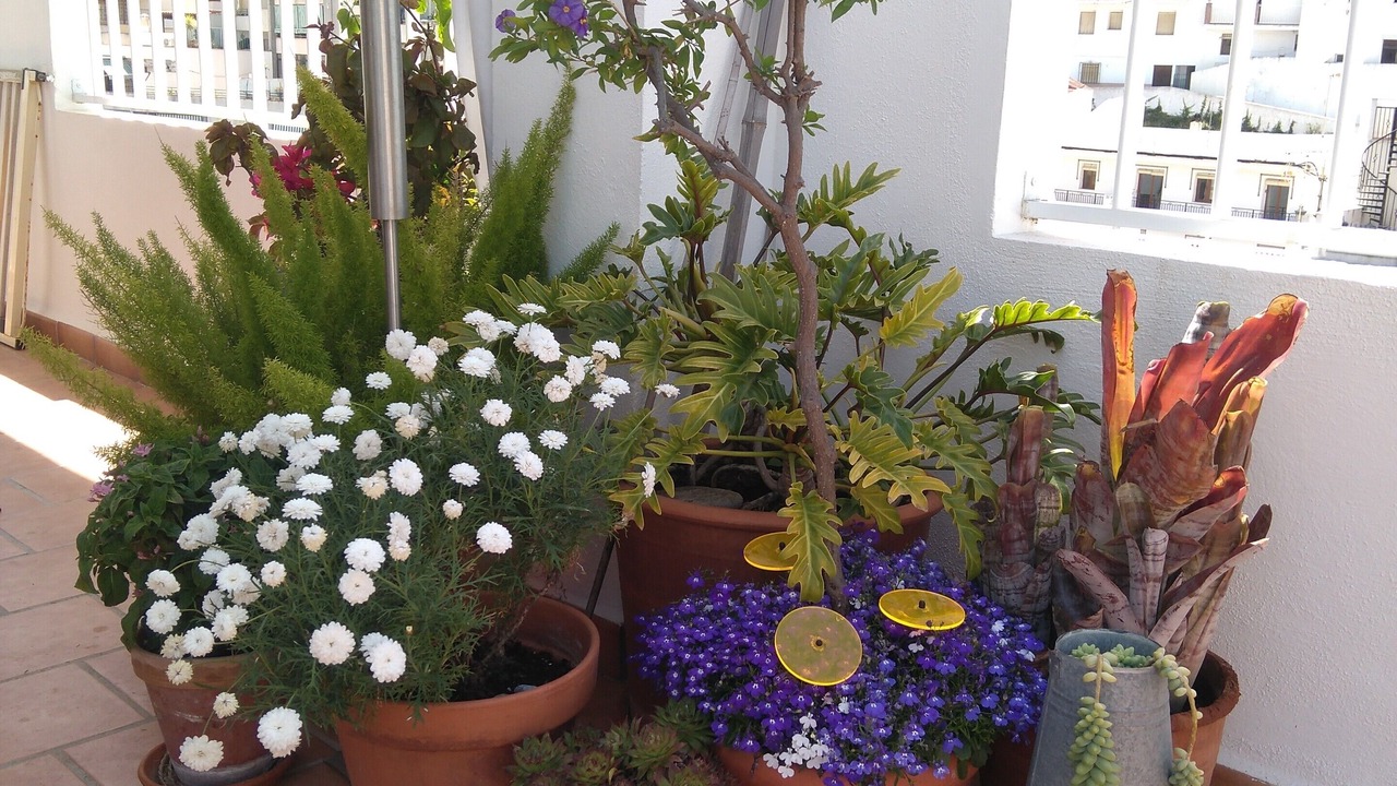 Photo of Outdoor in La Herradura