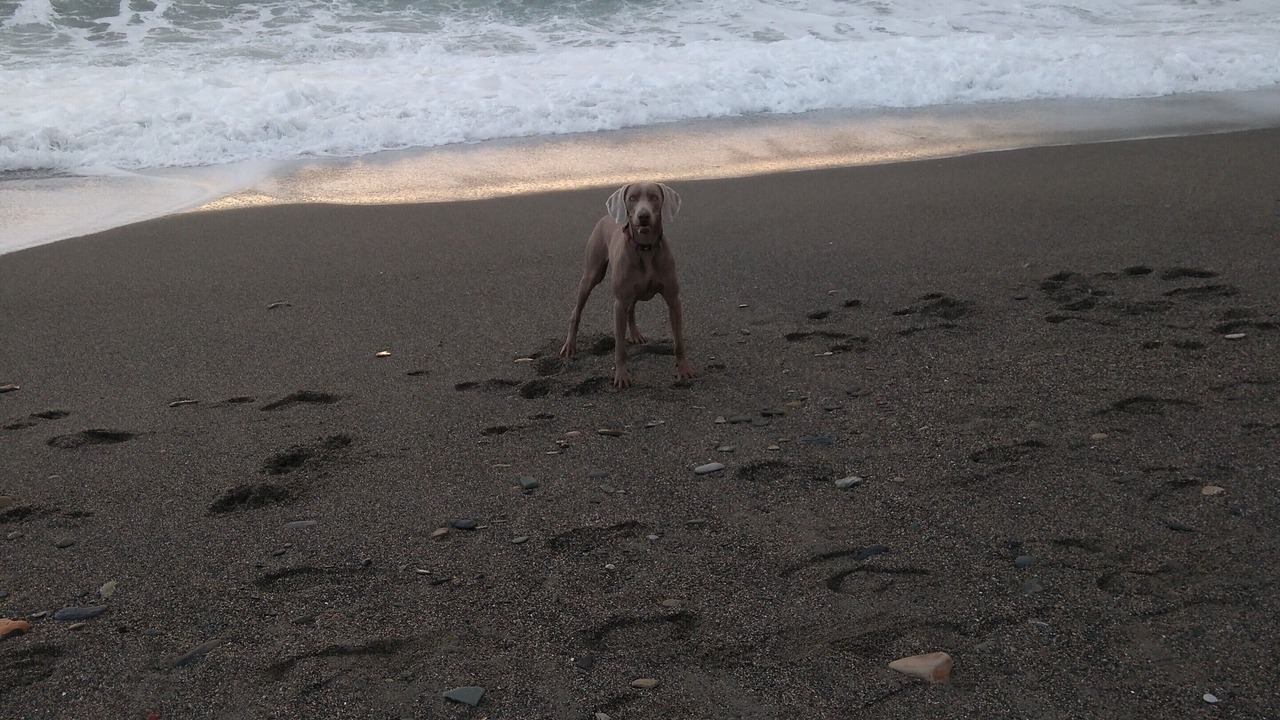 Photo of Others in La Herradura