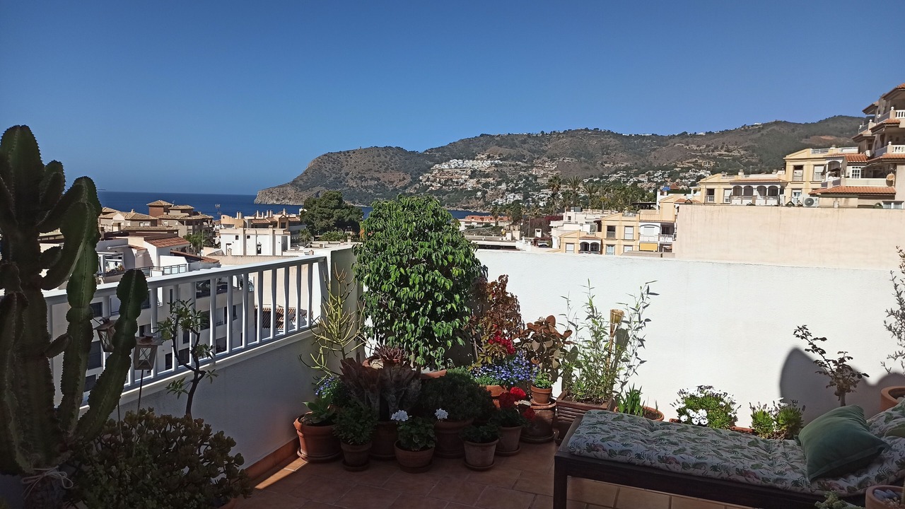Photo of Outdoor in La Herradura