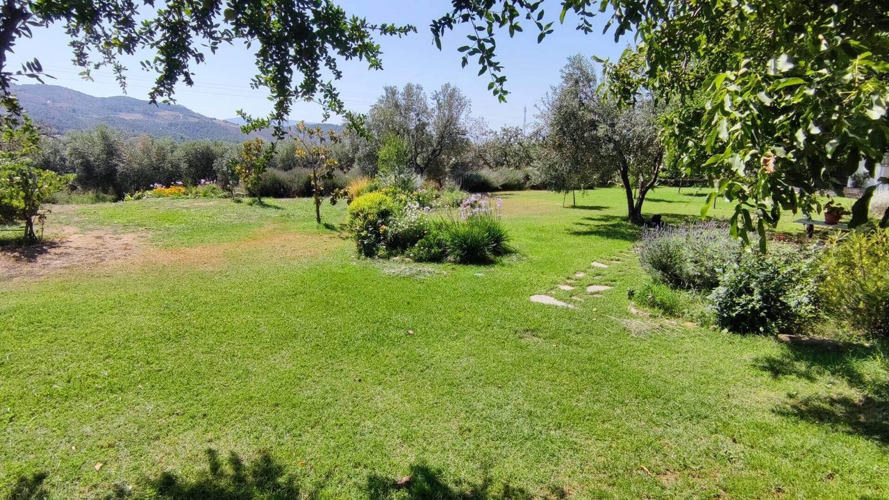 Photo of Outdoor in Niguelas