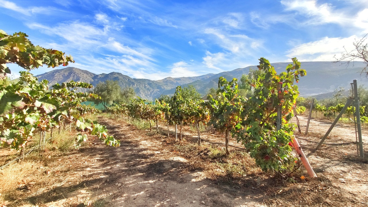 Photo of Outdoor in Niguelas