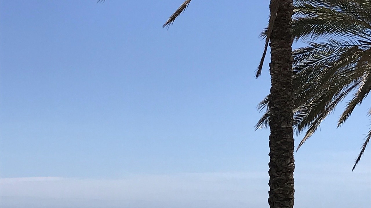 Photo of Outdoor in Castell de Ferro