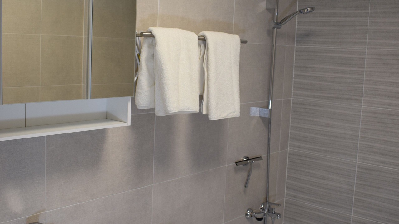 Photo of Bathroom in Velilla-Taramay