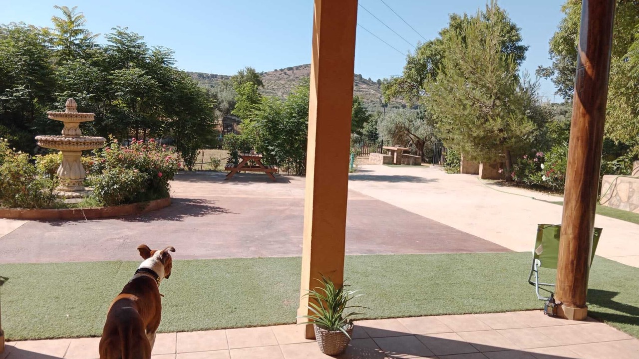 Photo of Outdoor in Castril
