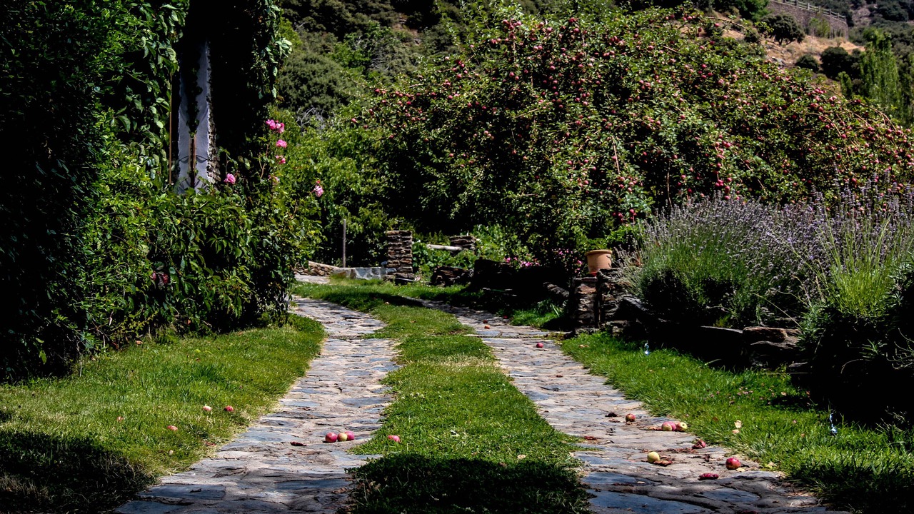 Photo of Outdoor in Capileira