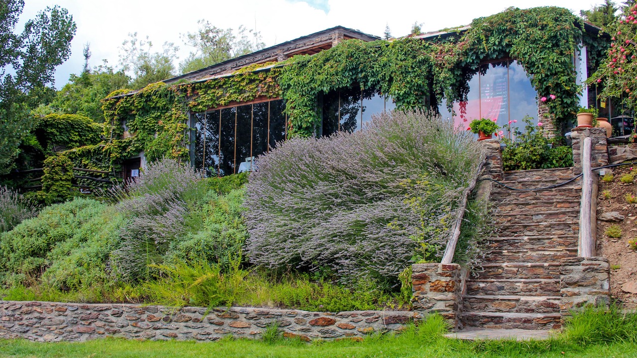 Photo of Outdoor in Capileira