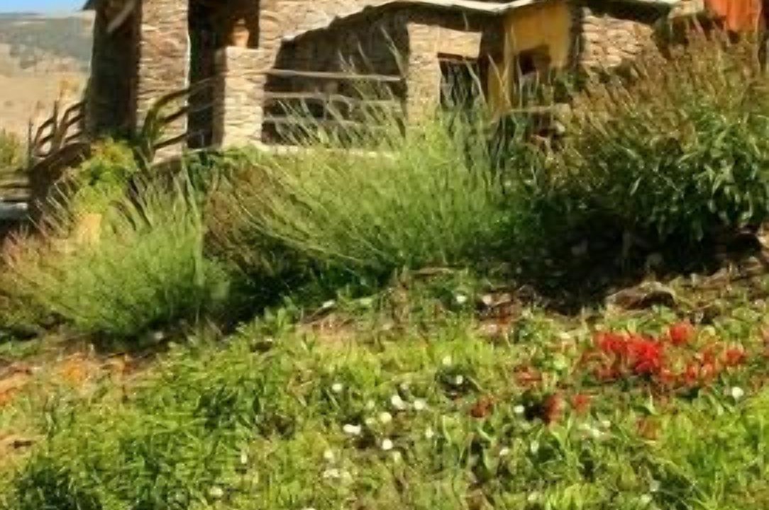 Photo of Outdoor in Capileira