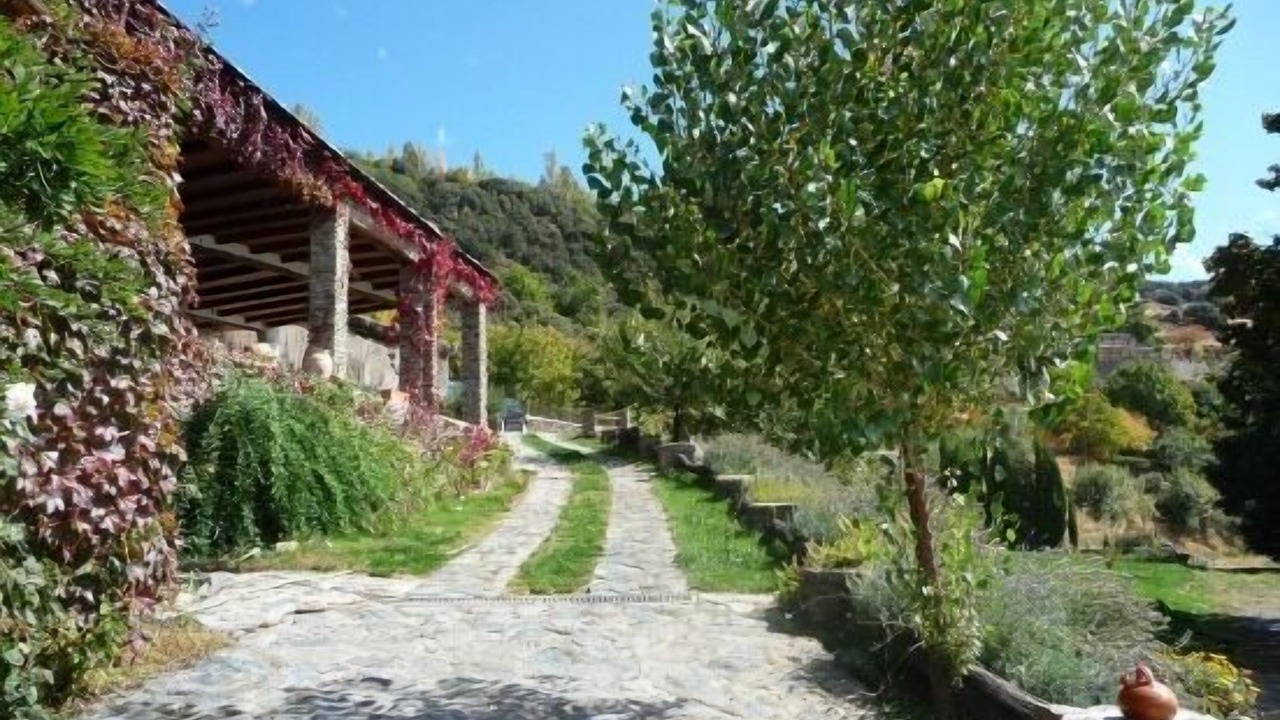Photo of Outdoor in Capileira