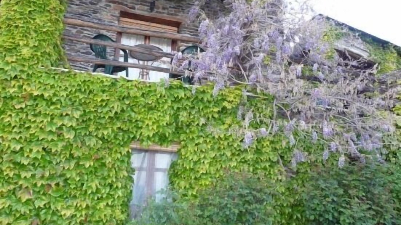 Photo of Outdoor in Capileira