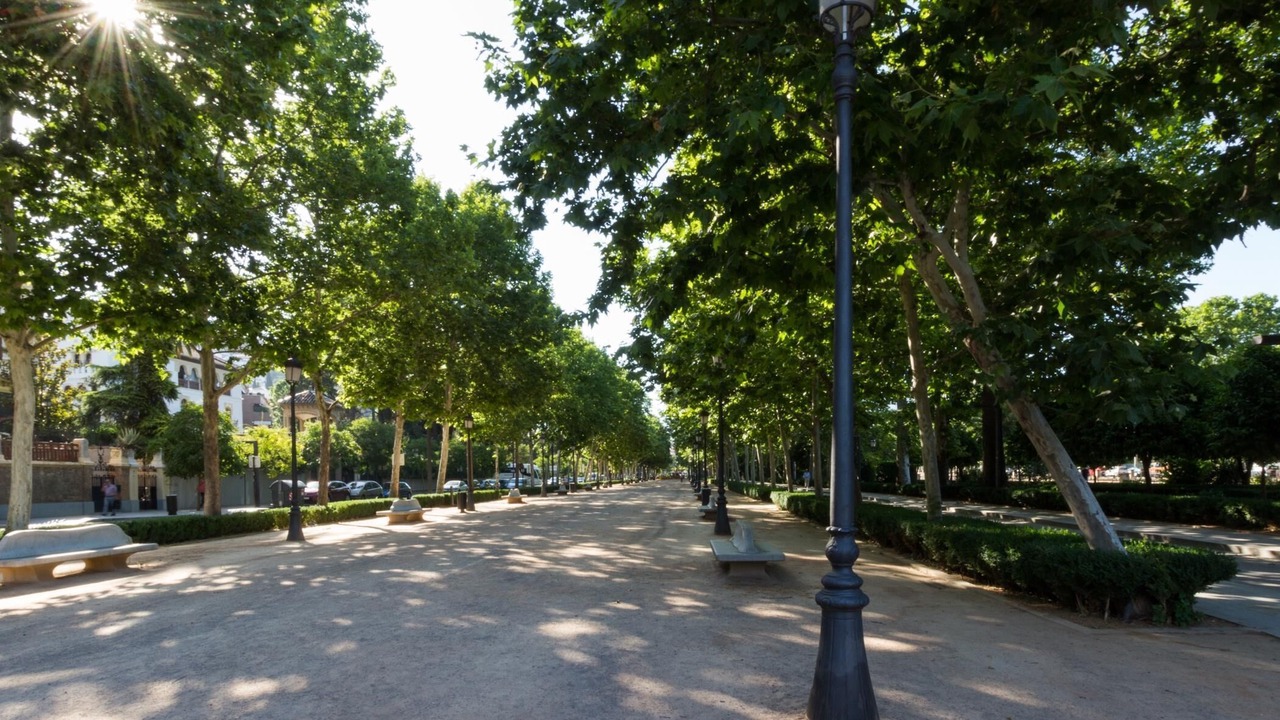 Photo of Outdoor in Granada City Center