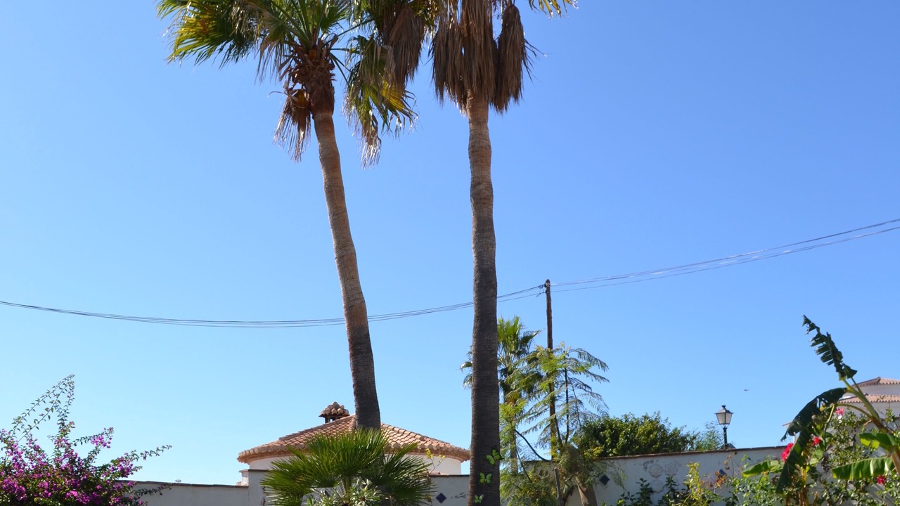 Photo of Outdoor in Salobrena