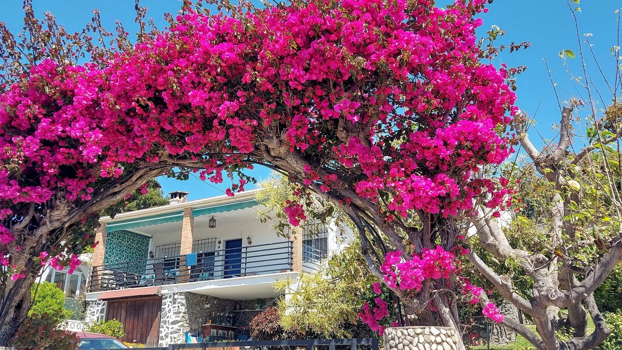 Photo of Outdoor in Velilla-Taramay
