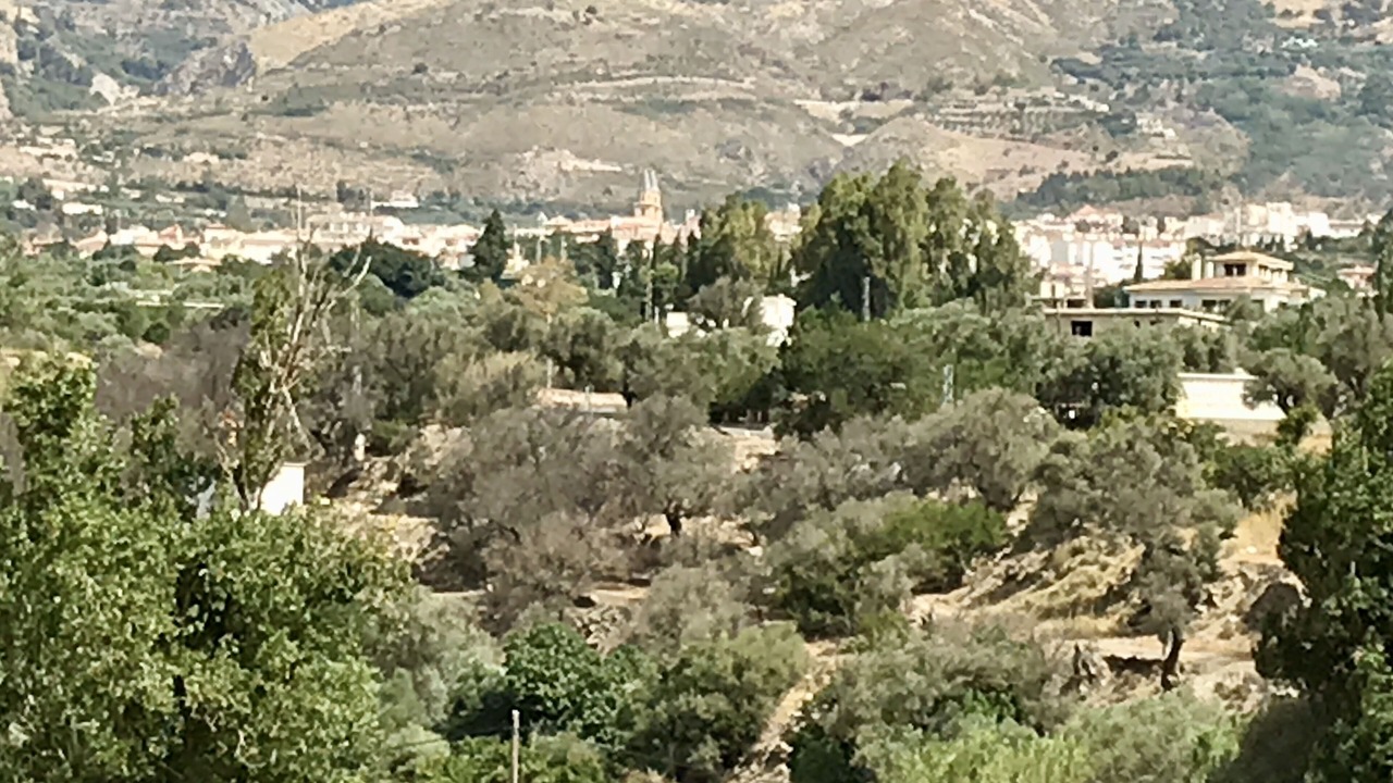 Photo of Outdoor in Orgiva