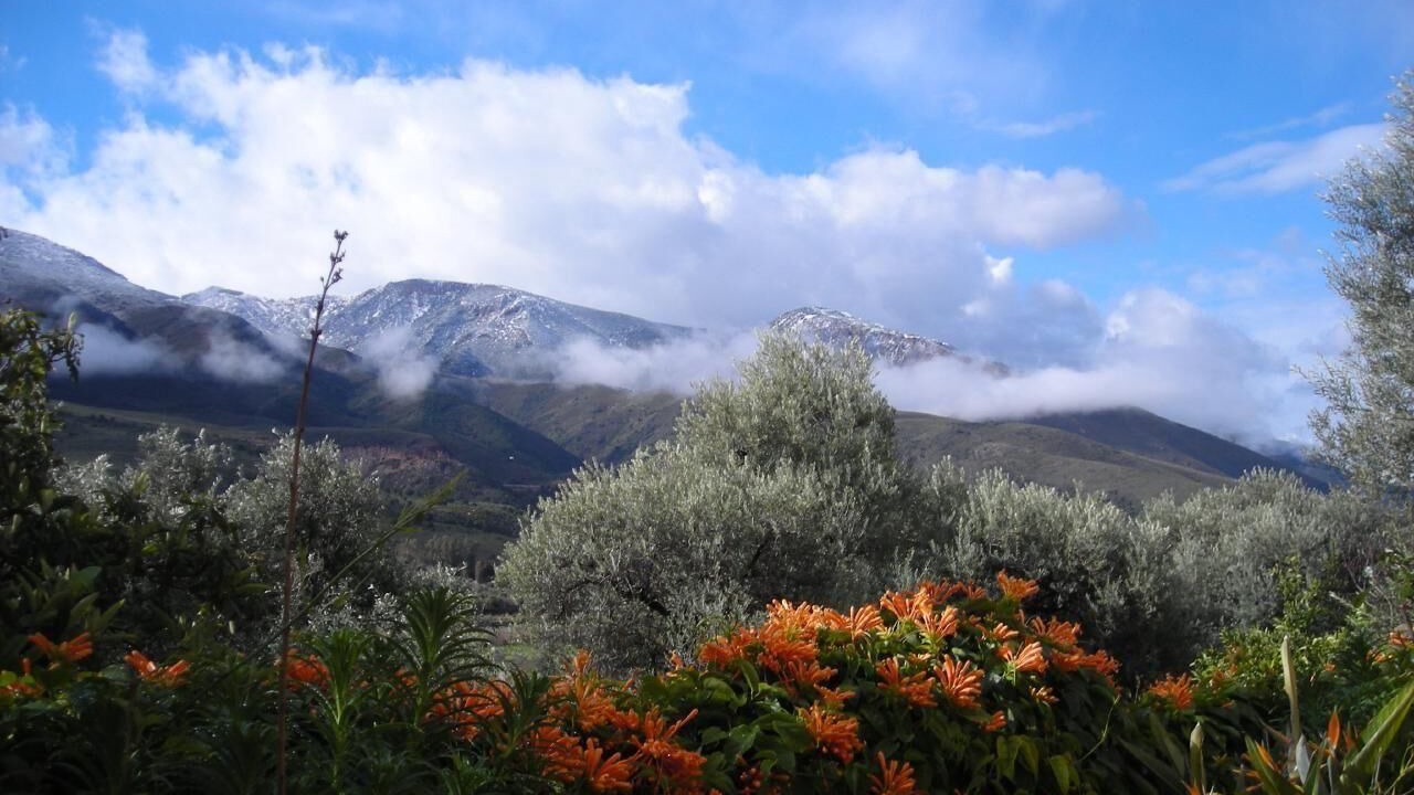 Photo of Others in Agustinos