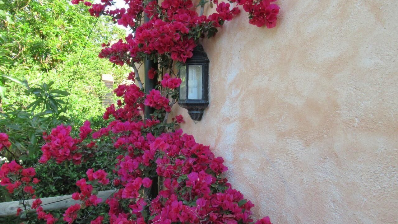 Photo of Outdoor in Agustinos