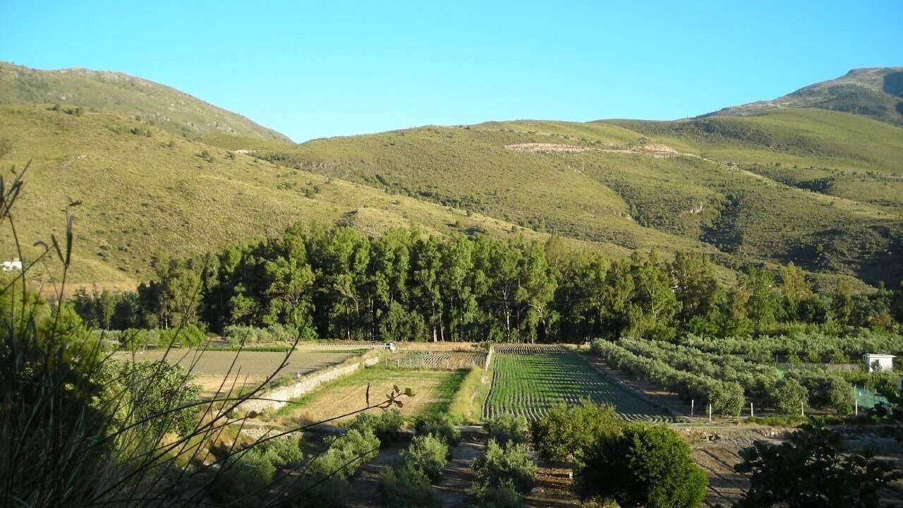 Photo of Outdoor in Agustinos