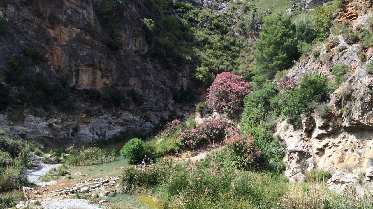 Photo of Outdoor in Agustinos