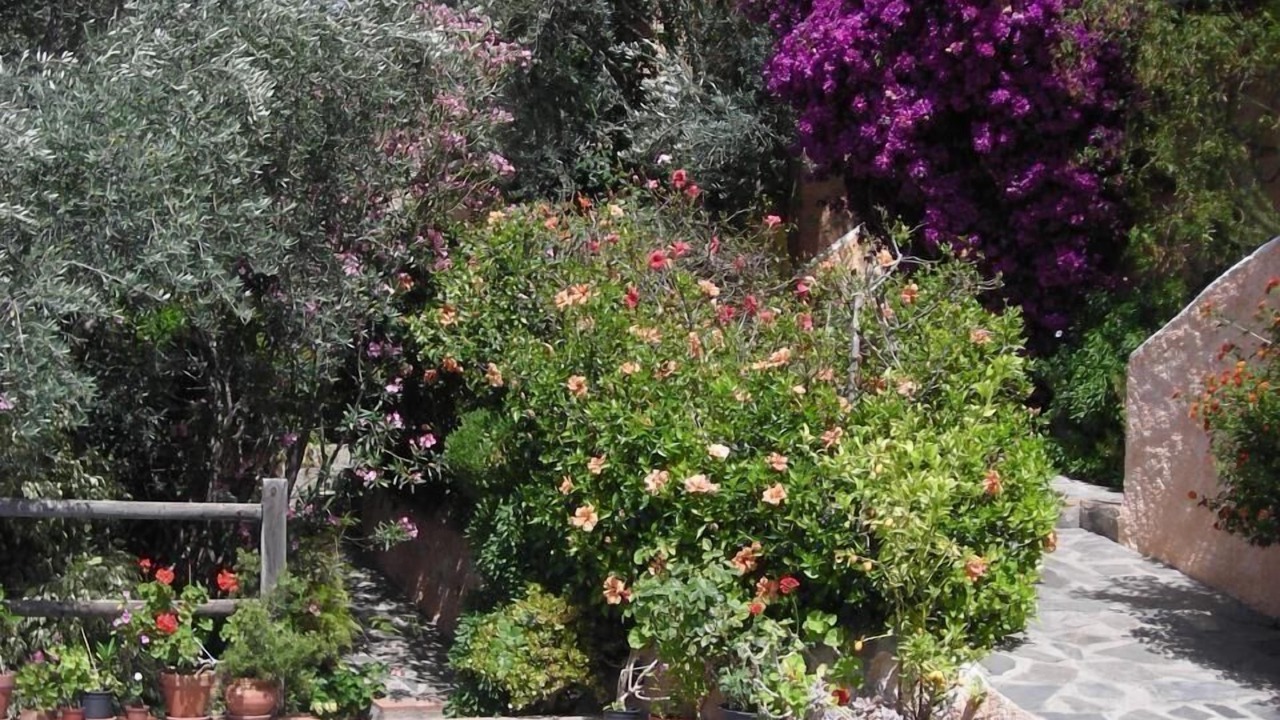 Photo of Outdoor in Agustinos