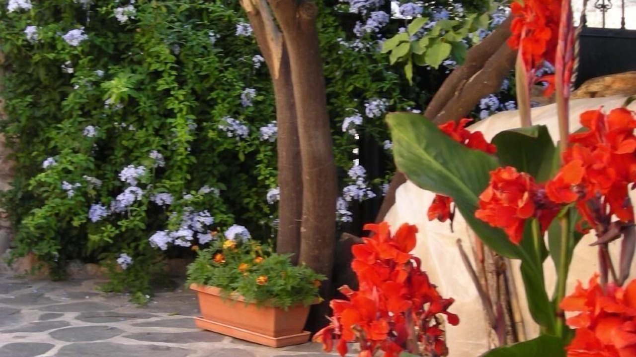Photo of Outdoor in Agustinos