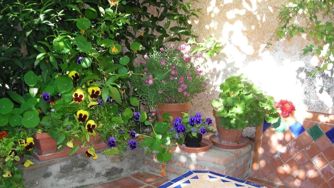 Photo of Outdoor in Agustinos