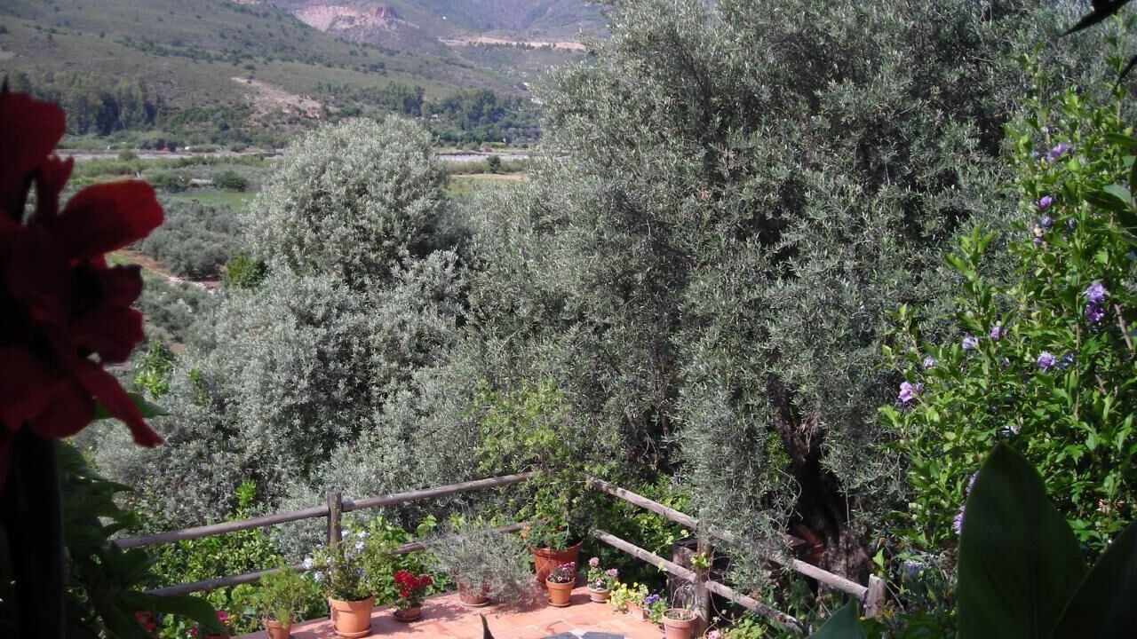 Photo of Outdoor in Agustinos