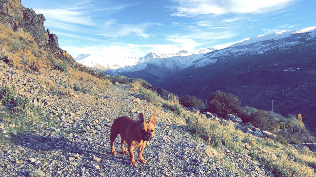 Photo of Others in Guejar Sierra