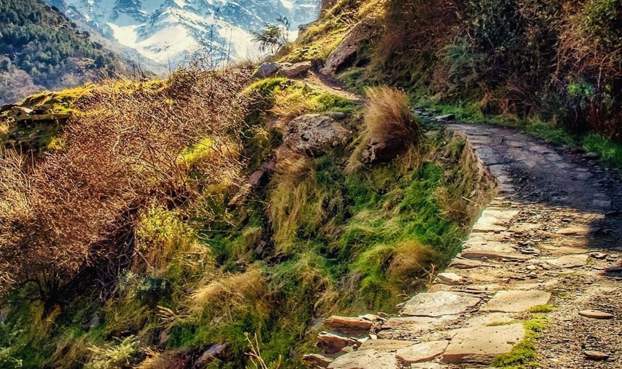 Photo of Outdoor in Guejar Sierra