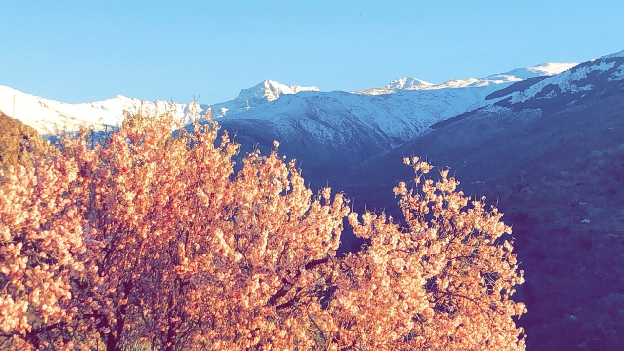Photo of Outdoor in Guejar Sierra
