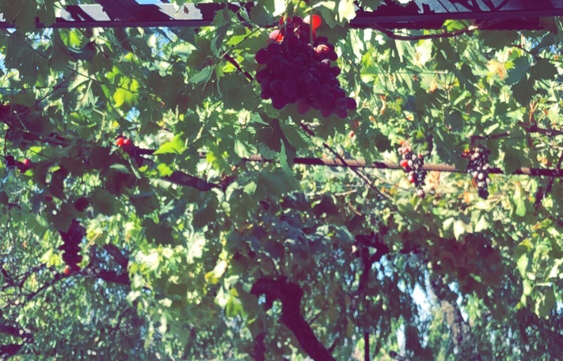 Photo of Outdoor in Guejar Sierra