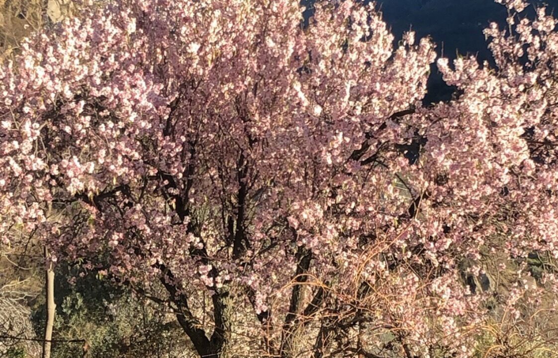 Photo of Outdoor in Guejar Sierra