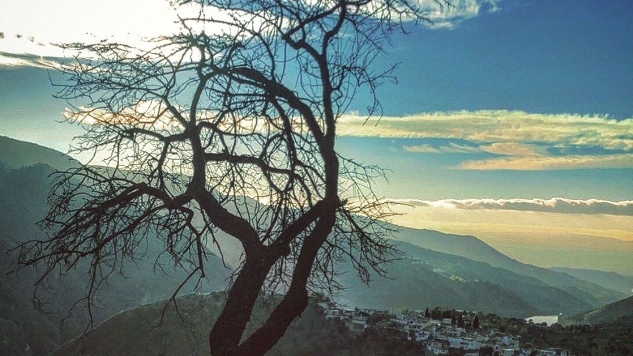 Photo of Others in Guejar Sierra