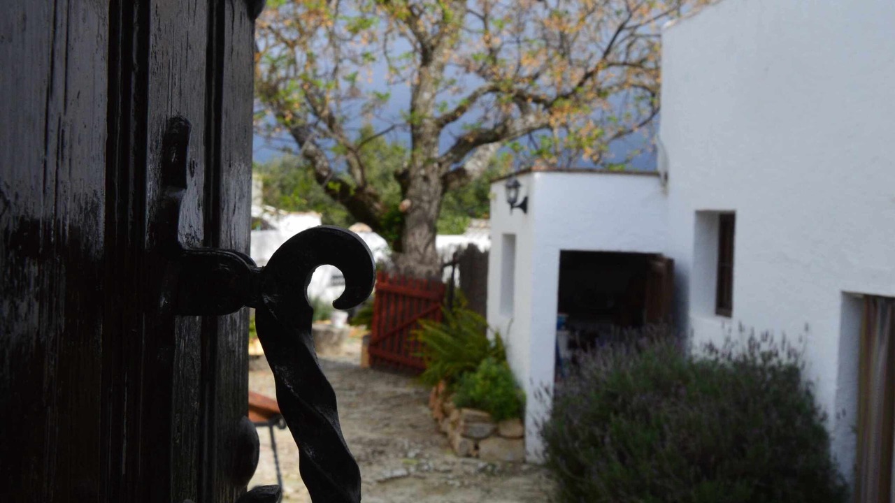 Photo of Outdoor in Algarinejo