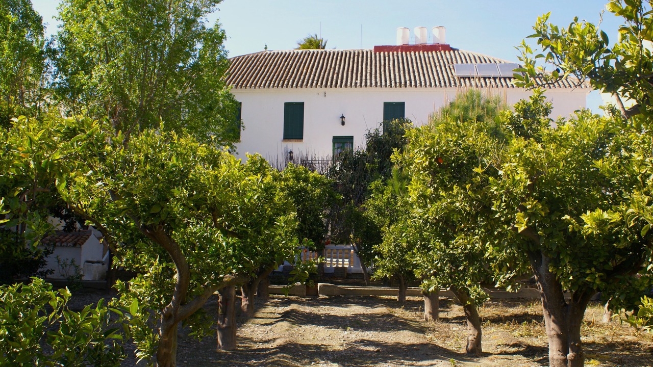 Photo of Outdoor in Murchas