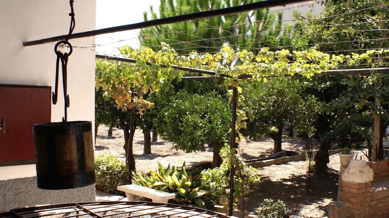 Photo of Outdoor in Murchas