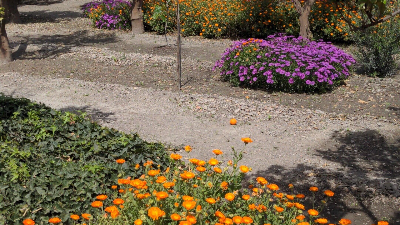Photo of Outdoor in Murchas