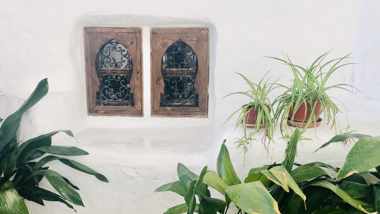 Photo of Others in La Taha