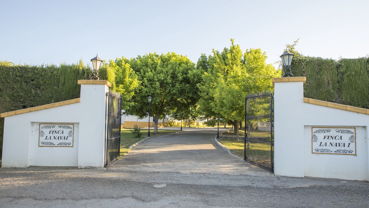 Photo of Outdoor in Iznalloz