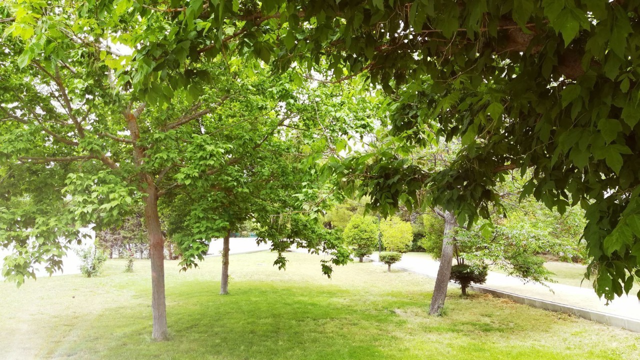 Photo of Outdoor in Iznalloz