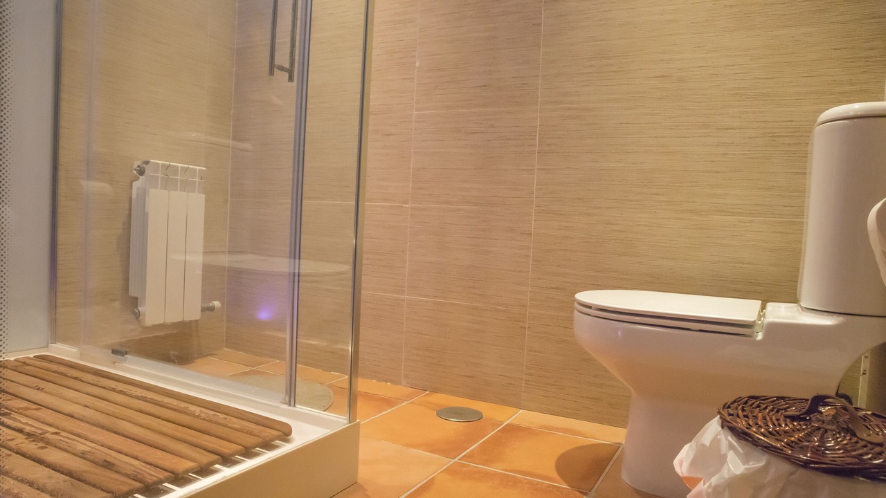 Photo of Bathroom in Iznalloz