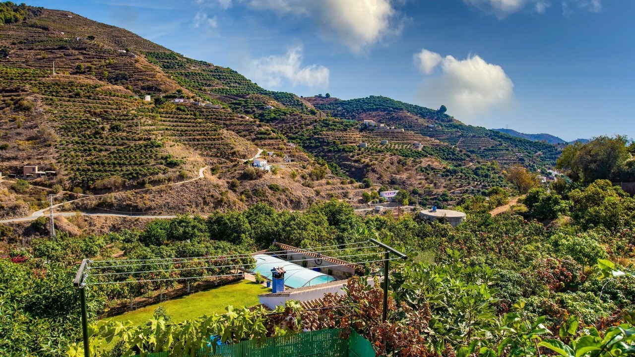 Photo of Others in Almunecar