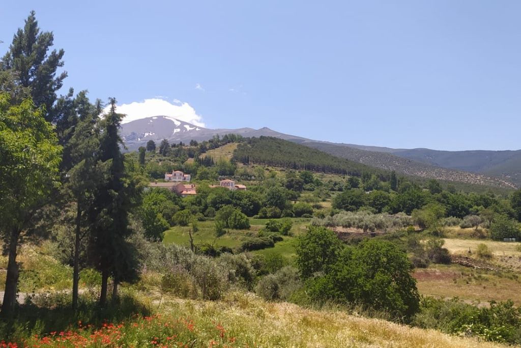 Photo of Outdoor in Marchal